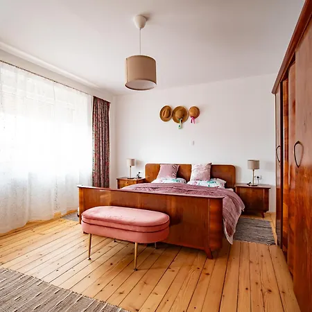Sisnikova Hisa Holiday home
